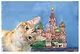Открытка «Москва. Серия "Коты". Василий Блаженный» - фото 1