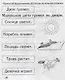 Читаем предложения - фото 2