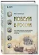 Нобели в России. Как семья шведских изобретателей создала целую промышленную империю - фото 3