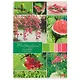 Тетрадь в клетку Hatber, "Разноцветный мир", А4, 96 листов, в ассортименте - фото 3