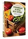Урожайный огород на 6 сотках. Правила и советы для начинающих - фото 3