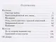 Смуглая чайка - фото 2