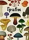 Грибы - фото 1