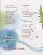 Страна Дельфиния - фото 3