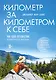 Километр за километром к себе. Как одно путешествие изменило жизнь - фото 1