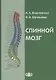 Спинной мозг: клинические и патофизиологические сопоставления. ил - фото 1