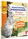 Слоговое чтение. Константин Ушинский. Сказки и рассказы. - фото 3