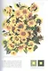 Как писать цветы. Акварель. Часть II. Тайна цветка, тайна цвета. Учебно-методическое пособие - фото 5