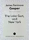 The Lake Gun, and New York - фото 1