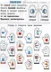 Симметрия. Увлекательные задания для детей 5–10 лет - фото 2
