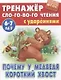 Комплект первоклассника (универсальный) №  9 (комплект из 4-х книг) - фото 2