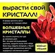 Набор д/детского творчества Кими "Вырасти свой кристал!" в асс. 006 - фото 1