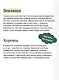 Как строили и жили на Руси - фото 7