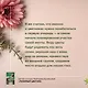 Любимый цветник. Простые шаги для создания декоративного сада - фото 5