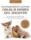 Как поддерживать здоровье собак и кошек без лекарств - фото 1