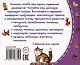 Пестушки. Книжки-малышки с детским фольклором - фото 2