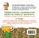 Лечебные чаи - фото 2