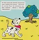 Далматин «Роко» - фото 5