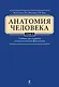 Анатомия человека: учебник: В 3 т. Т. 1 - фото 1