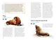 Красная книга России. Все основные виды - фото 14