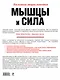 Мышцы и сила : большая энциклопедия - фото 2