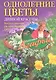 Однолетние цветы дивной красоты. Выращивание, размножение, уход. - фото 1