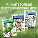 Растения. Полная энциклопедия: Мир растений в интересных фактах и красочных иллюстрациях - фото 6