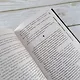 Самая страшная книга 2024 - фото 9