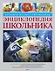 Большая иллюстрированная энциклопедия школьника - фото 1