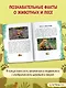 Первые уроки медвежонка - фото 6