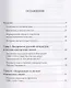 Взаимопроникновение русской и финской литературы в первой половине XX века - фото 2