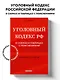 Уголовный кодекс РФ в схемах и таблицах с пояснениями. Учебное пособие 2-е издание - фото 4