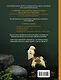 Веселый зоопарк. Ватные игрушки - фото 2