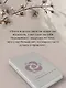 Унесенные ветром. Том 1 - фото 6