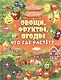 Овощи, фрукты, ягоды. Что где растёт? - фото 1