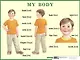 My body. Строение тела человека. Наглядное пособие для начальной школы - фото 1