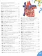 Книга-подарок для маленьких почемучек. Детская энциклопедия - фото 7