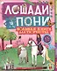 Лошади и пони - фото 2