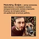 Счастье на четырех лапах. Как стать лучшим другом для своей собаки - фото 9