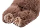 Мягкая игрушка Песик пушистый (коричневый) (60см) (12-20251028-9L/2) - фото 5