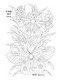 OUTLINES. Раскраска «Мир бабочек» - фото 4