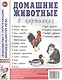 Домашние животные в картинках. Наглядное пособие для педагогов, логопедов, воспитателей и родителей - фото 1