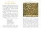 Русская елочная игрушка. Козули, космонавты и бонбоньерки в истории самого любимого праздника - фото 14