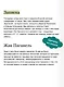 Дети капитана Гранта. Том 1. Вечные истории - фото 7
