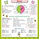 Английский язык. Все обучающие плакаты под одной обложкой. 2–4 классы - фото 5