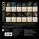 Подсказки мудрого кота на каждый день. Календарь на 2027 год - фото 3