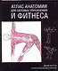 Атлас анатомии для силовых упражнений и фитнеса - фото 1