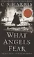 What Angels Fear - фото 1