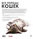 Все породы кошек - фото 2