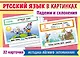Наглядные пособия для детей. Русский язык в картинках. Падежи и склонения (32 карточки) - фото 1